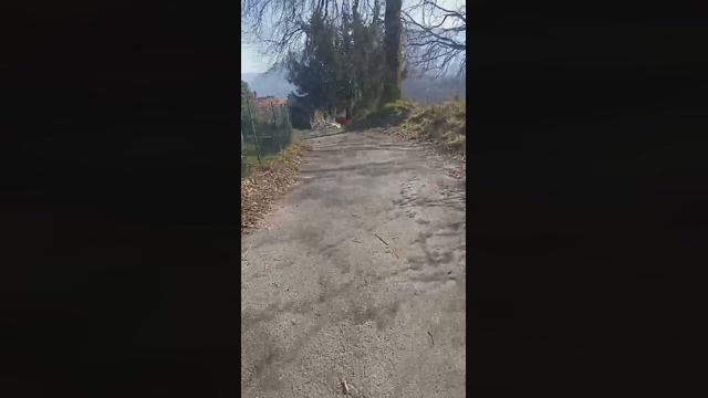 durodotato  13-03-2022